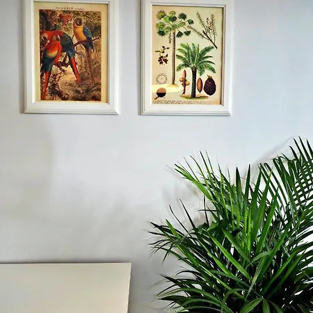 Sea View, 200 M Do Monte Cassino Grottgera 6, 公寓 索波特